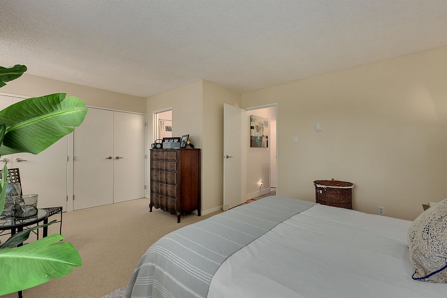 4035 Springtree Drive