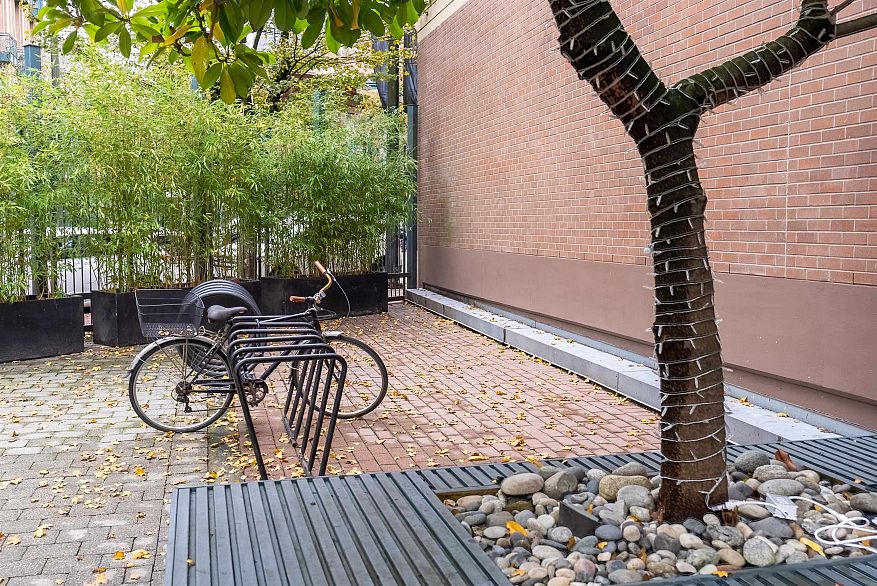 315 55 E Cordova Street