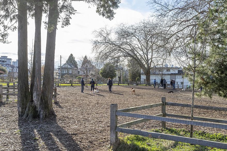 2205 2215 Pandora Street