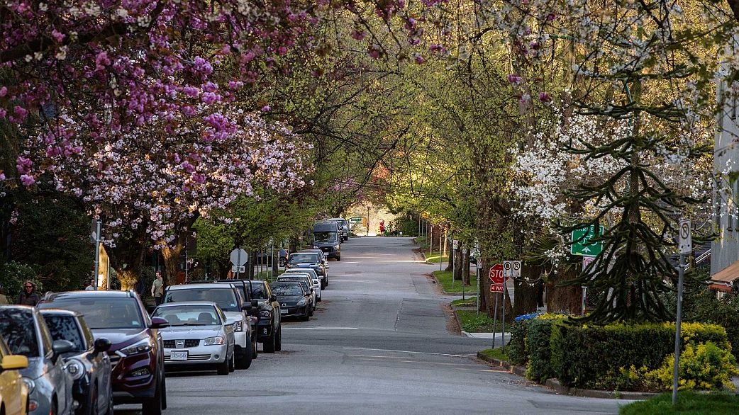 201 1535 Nelson Street