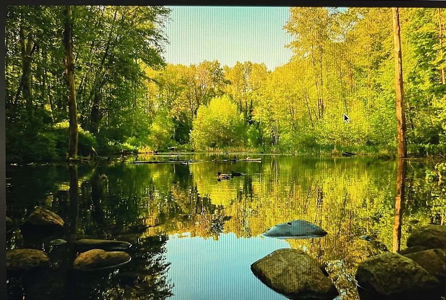 106 3162 Riverwalk Avenue