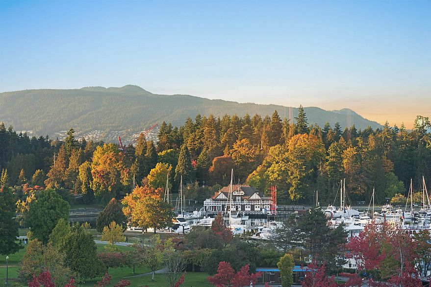 504 1790 Bayshore Drive