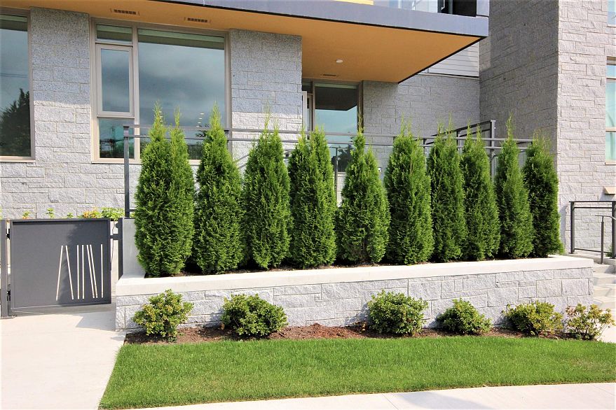 203 389 W 59th Avenue