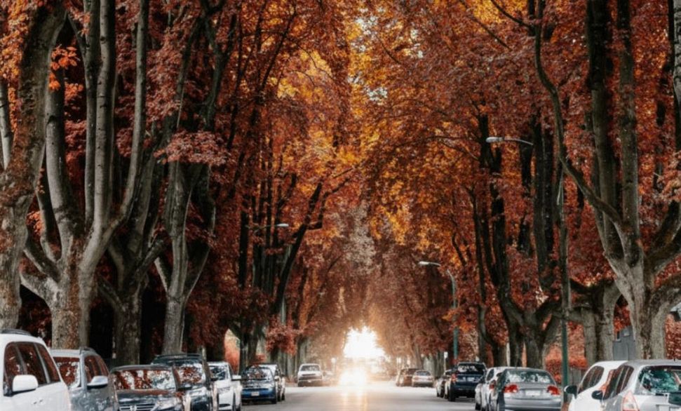 101 3668 W 10th Avenue