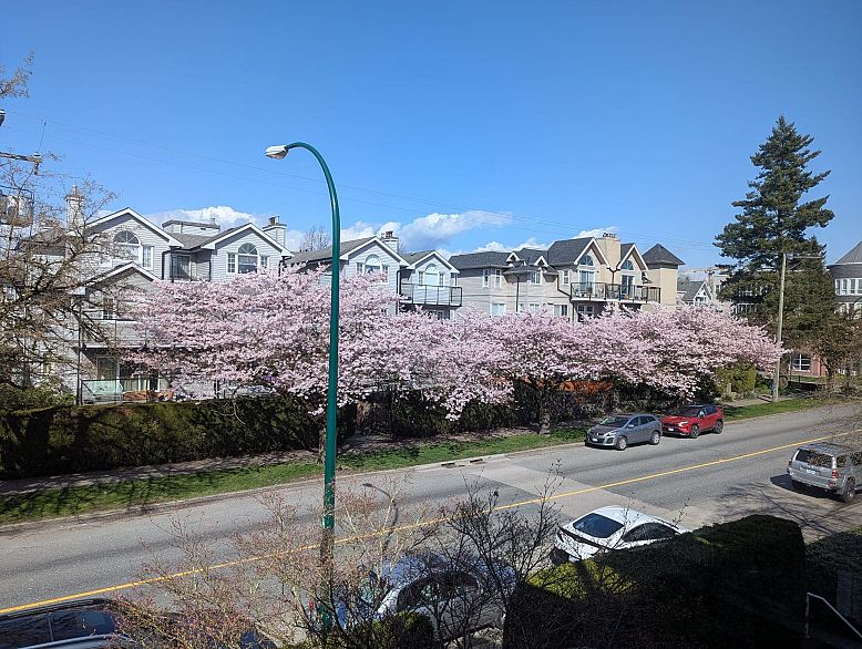 305 868 W 16th Avenue