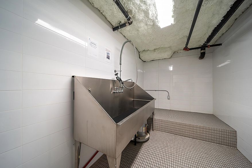 602 8181 Chester Street