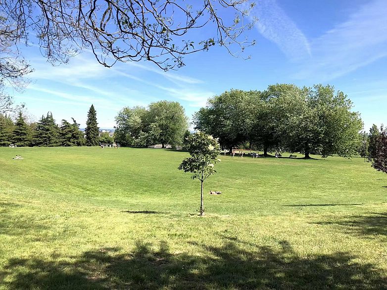 233 Waterleigh Drive