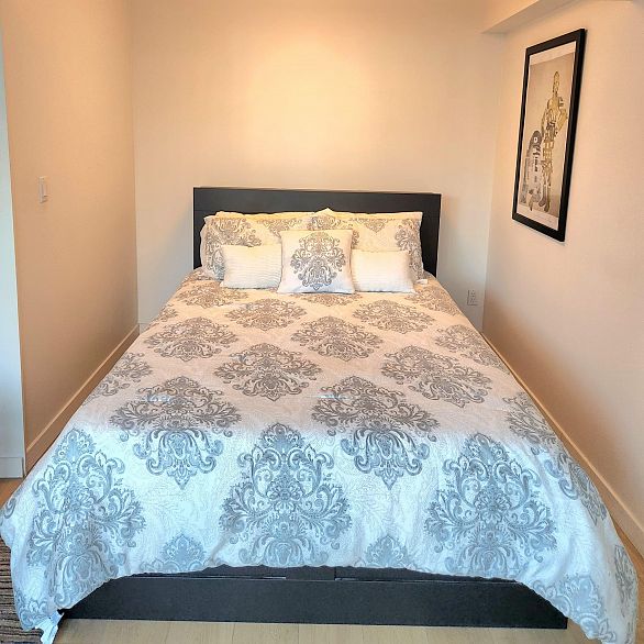 928 RICHARDS STREET, Vancouver BC V6B 3C1