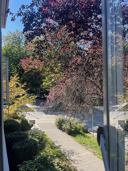 210 1050 Jervis Street