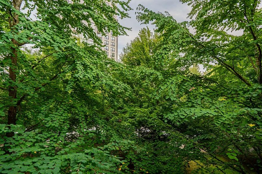 309 5380 Oben Street