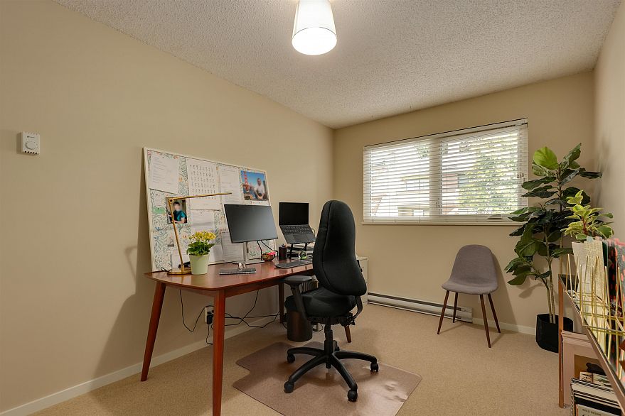 4035 Springtree Drive