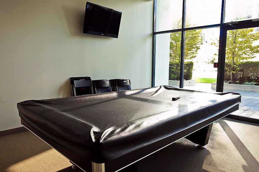 503 928 BEATTY STREET, Vancouver BC V6Z 3G6