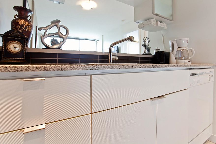 503 928 BEATTY STREET, Vancouver BC V6Z 3G6