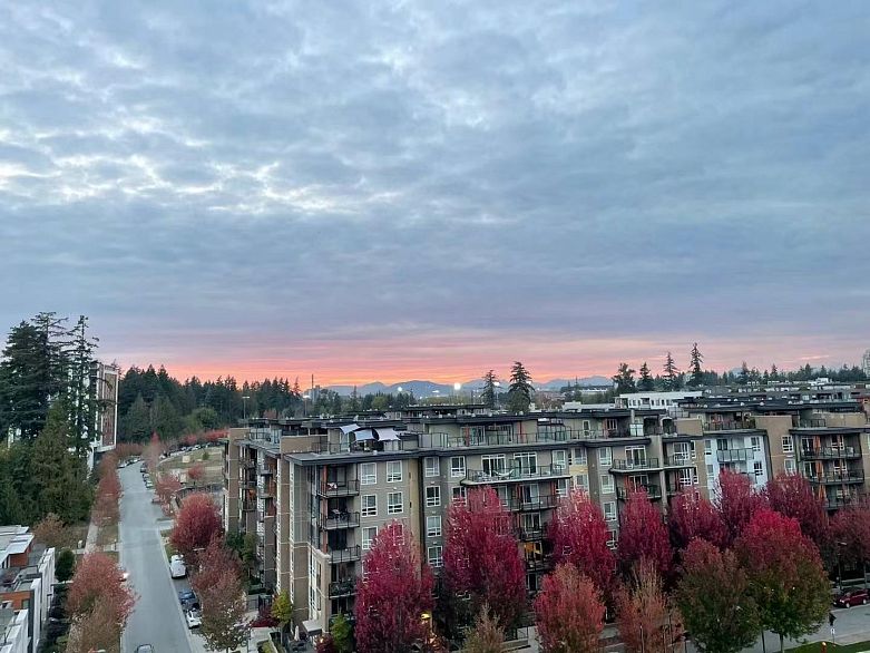 1003 3533 Ross Drive