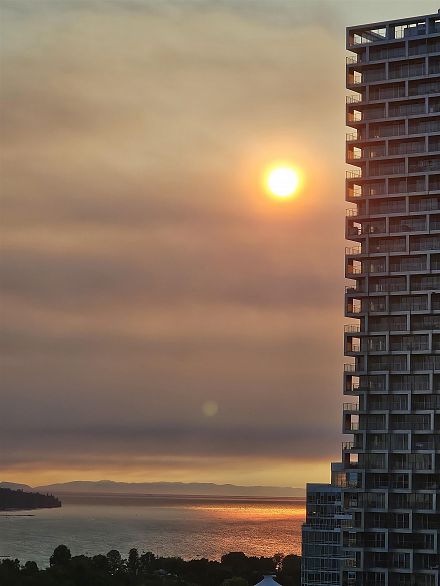 3202 501 Pacific Street