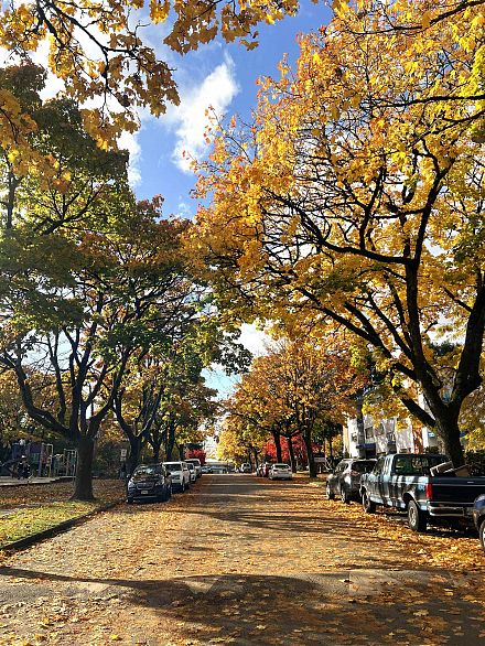 104 8775 Cartier Street