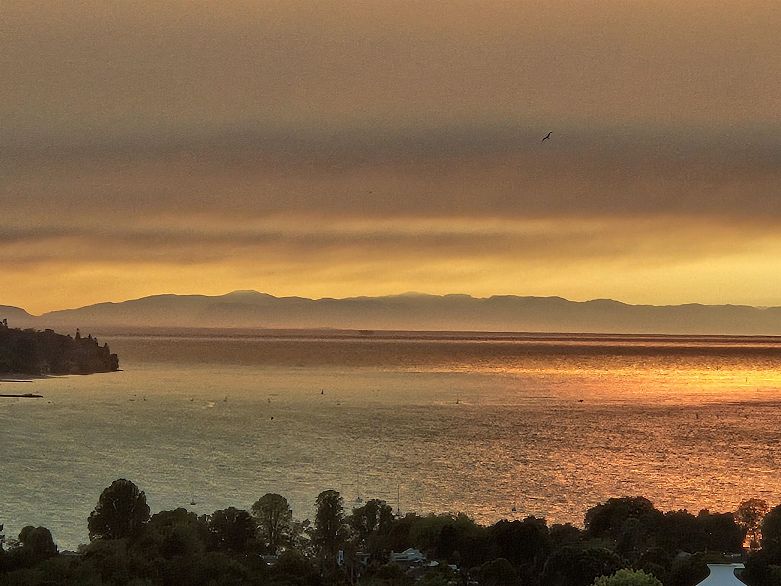 3202 501 Pacific Street