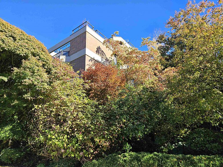 311 3905 Springtree Drive