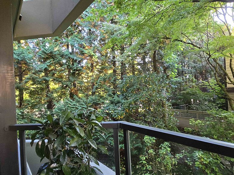 311 3905 Springtree Drive