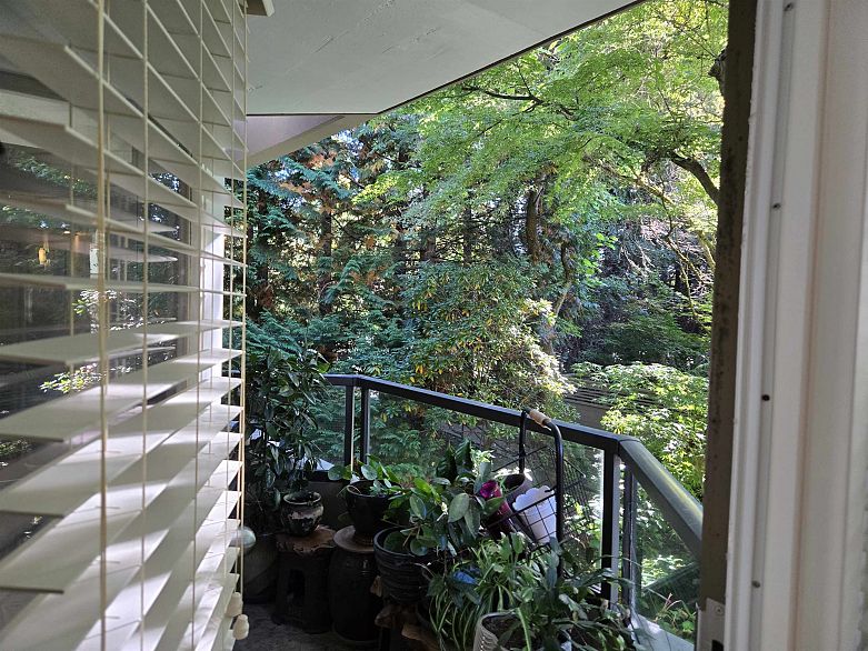 311 3905 Springtree Drive