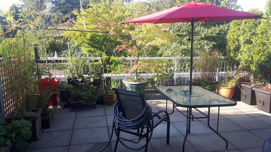 209 3333 W 4th Avenue