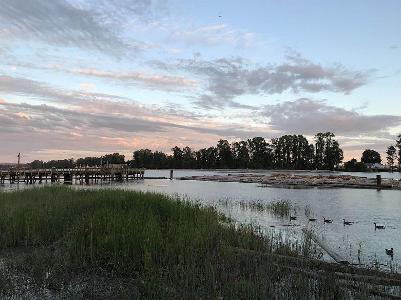 307 8495 Jellicoe Street