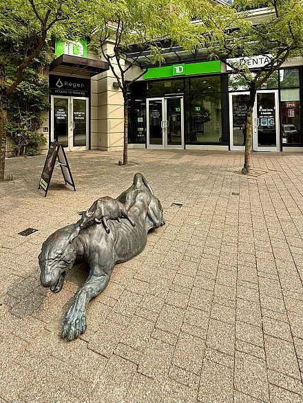 302 4028 Knight Street