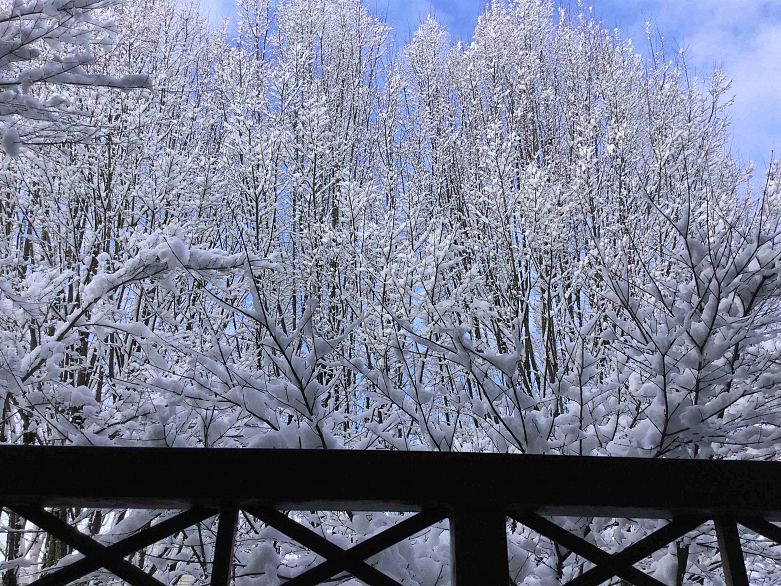 307 8495 Jellicoe Street