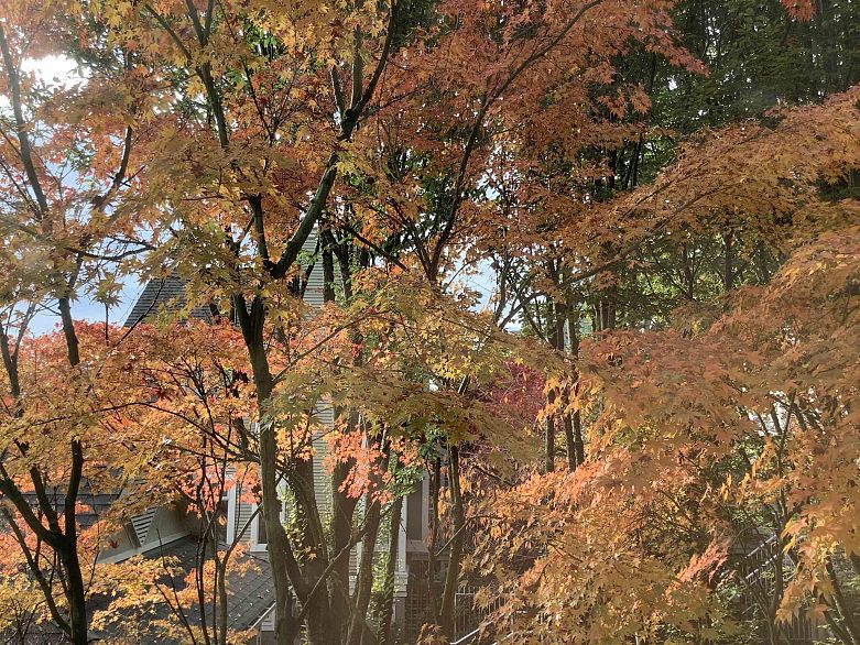 307 8495 Jellicoe Street