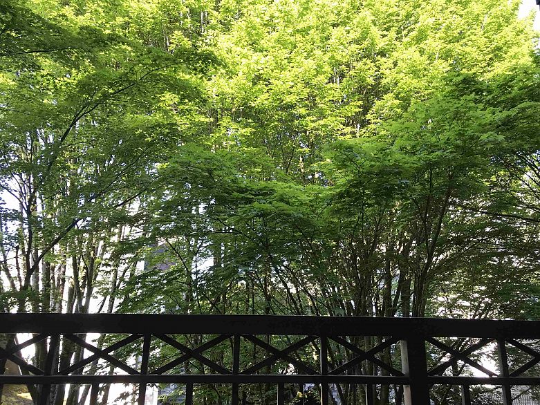 307 8495 Jellicoe Street