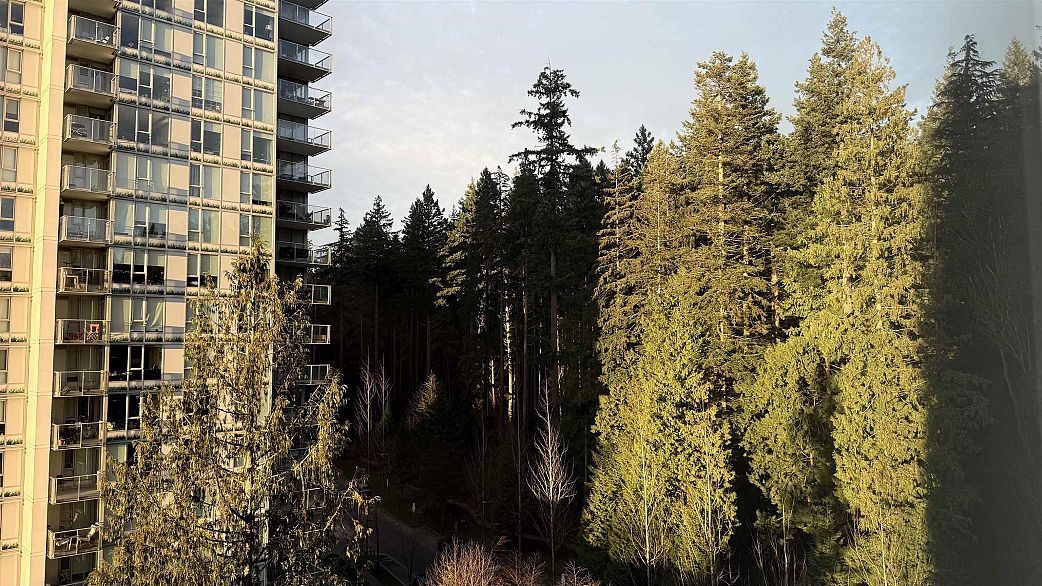 1004 5629 Birney Avenue