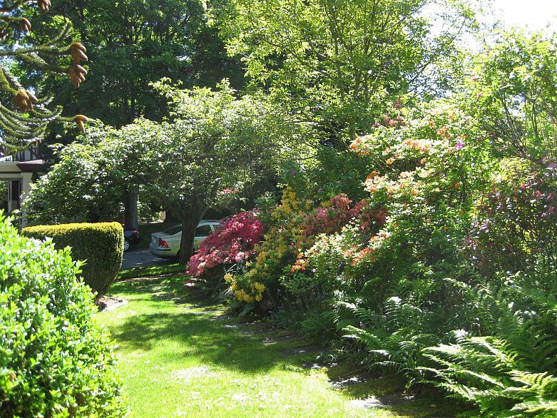 4825 Connaught Drive