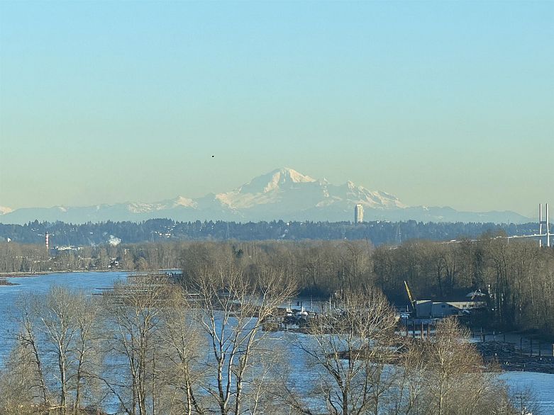 1001 2733 Chandlery Place