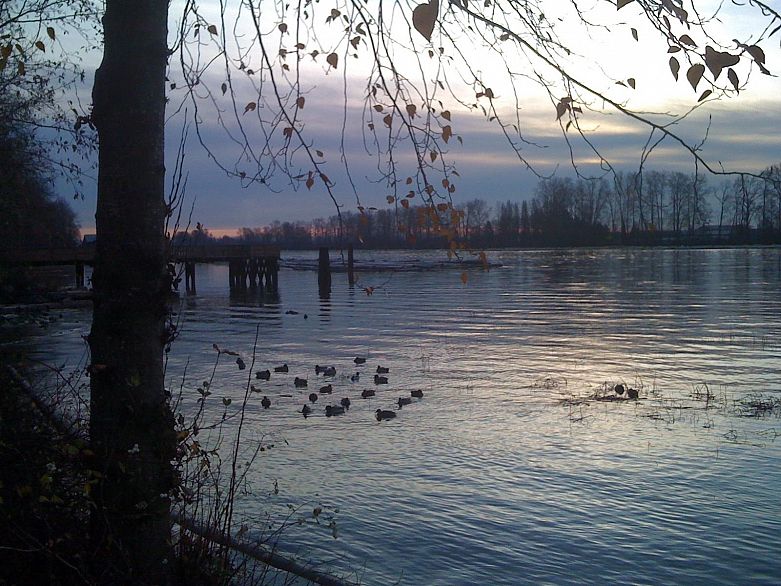 2162 E Kent Avenue South