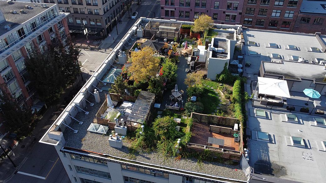 210 1178 Hamilton Street