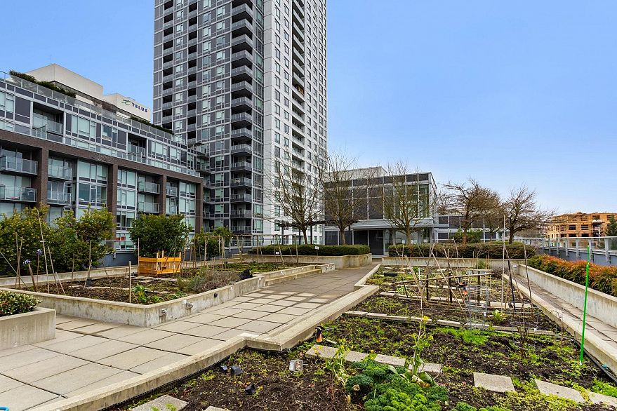 501 5598 Ormidale Street