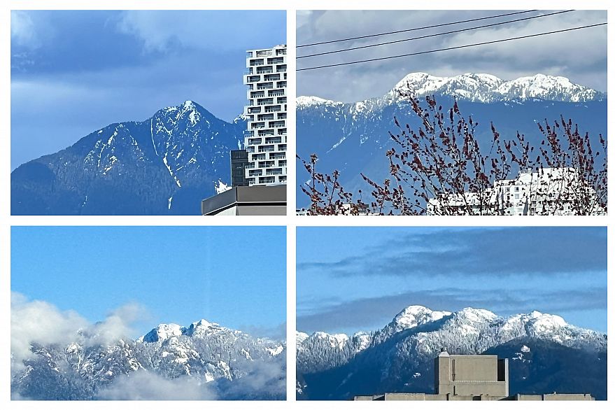 2006 1850 Comox Street