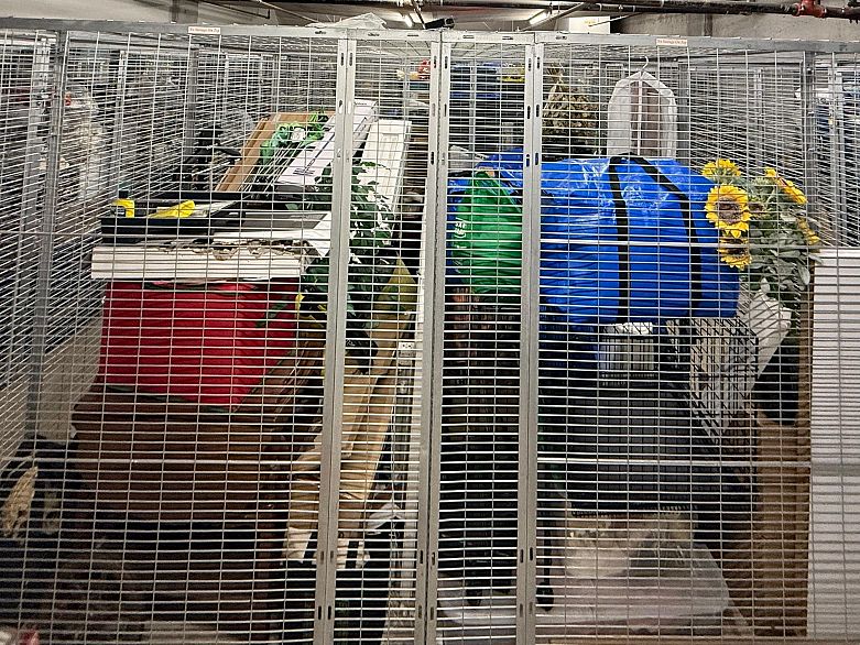 313 2636 E Hastings Street