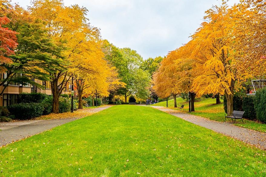 402 2175 Salal Drive