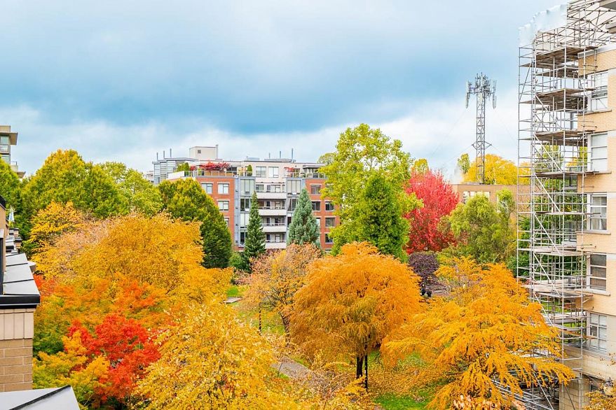 402 2175 Salal Drive