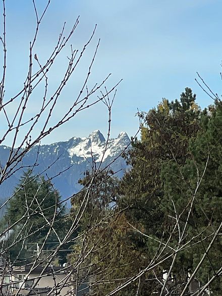 175 W 2ND AVENUE, North Vancouver BC V7M 0A5