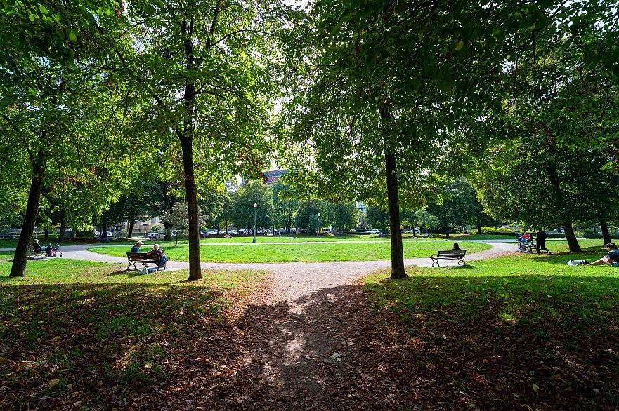 104 1147 Nelson Street