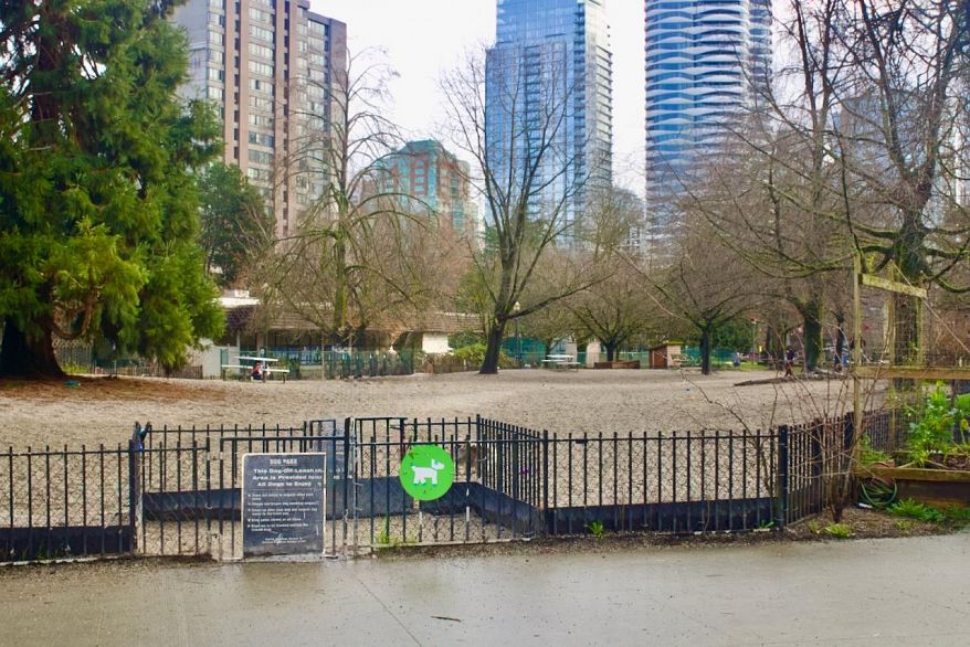 402 1230 Comox Street