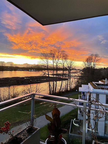 508 3198 Riverwalk Avenue