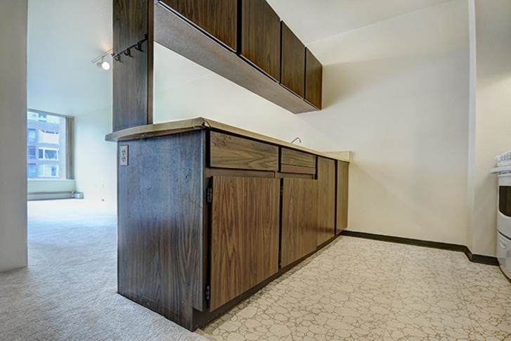 517 1330 BURRARD STREET, Vancouver BC V6Z 2B8