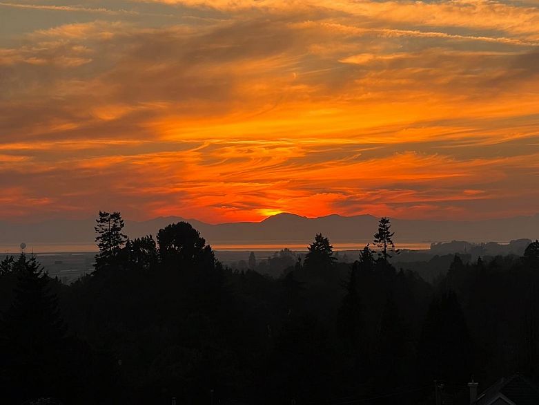 803 8555 Granville Street