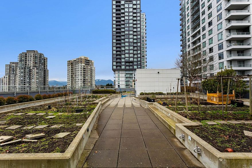 501 5598 Ormidale Street