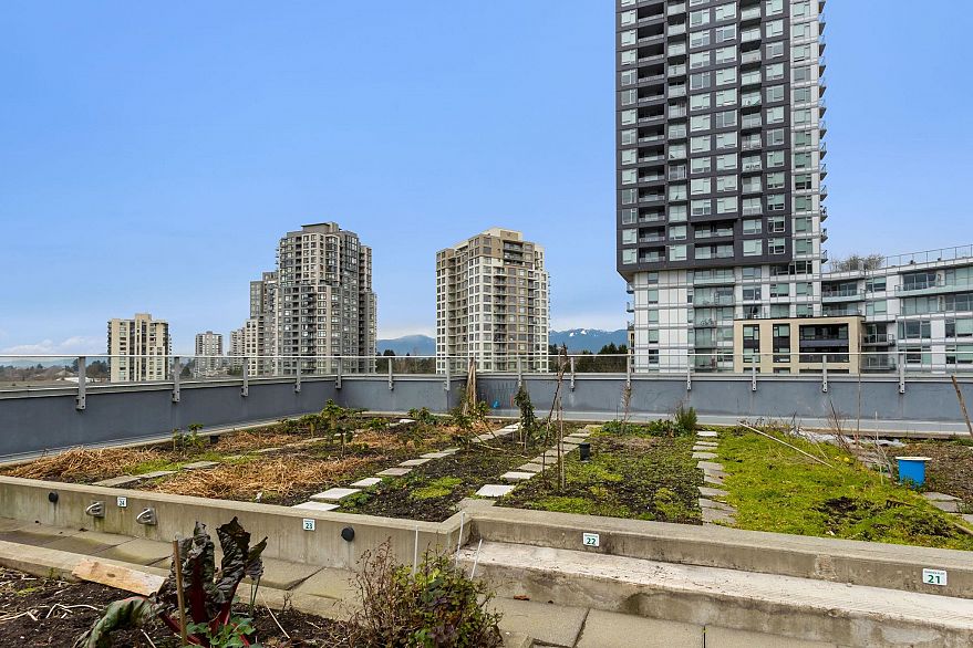 501 5598 Ormidale Street