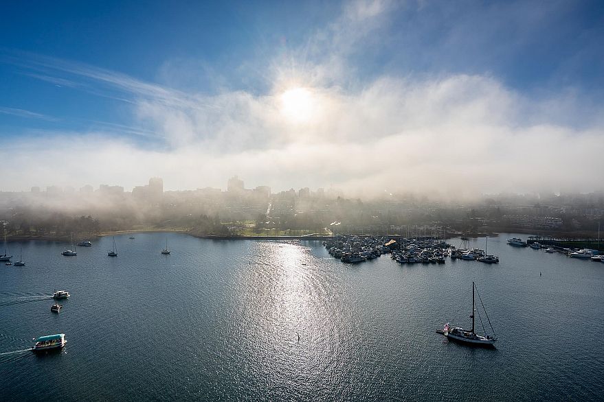 1703 1560 Homer Mews