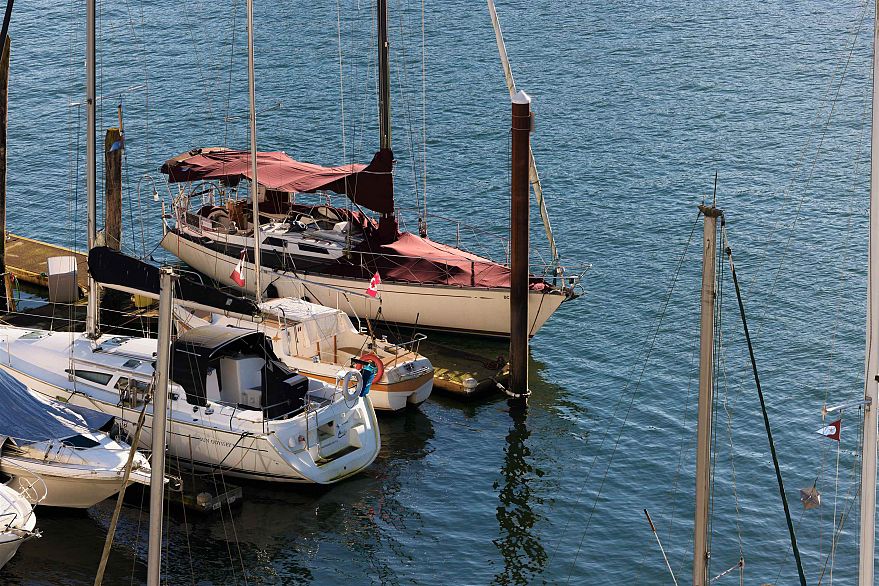 805 628 Kinghorne Mews